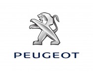 Переходные рамки для линз Peugeot  (Пежо)